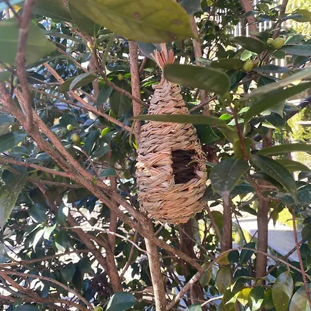 Holiday home Sun House And Hill *