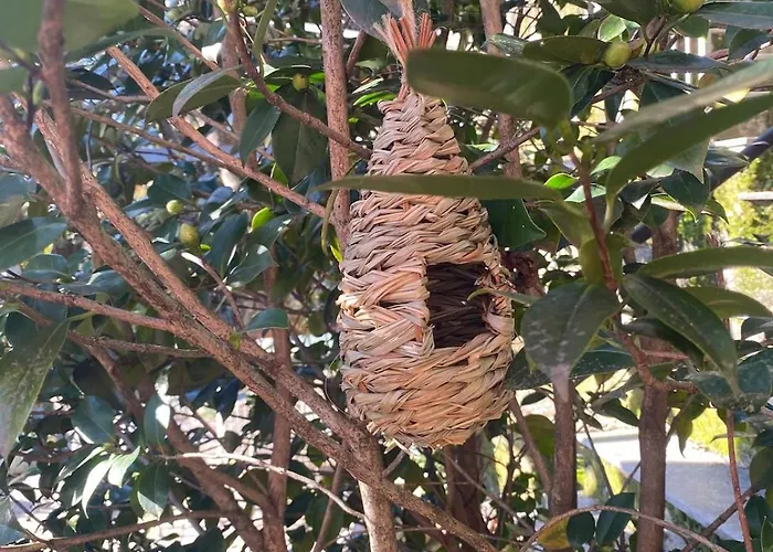 Tatil Evi Sun House And Hill *